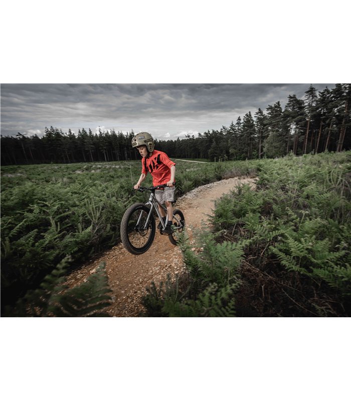 Kindervelo 20 Zoll Early Rider Seeker