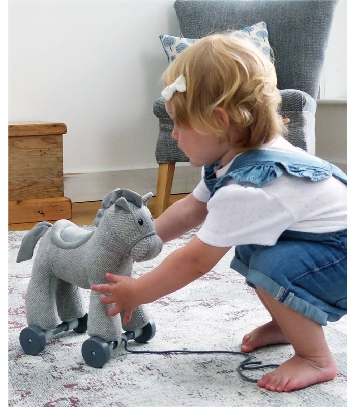 Ziehtier Little Bird told me (0.5-2 Jahre) Striling Pferd