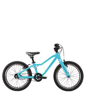 Vélo Enfant Mustang Fury 1.0 - 18 Pouces, Turkis
