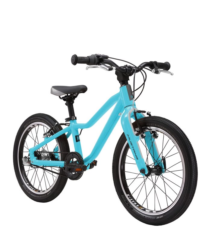 Vélo Enfant Mustang Fury 1.0 - 18 Pouces, Turkis