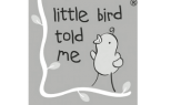 Little Bird told me