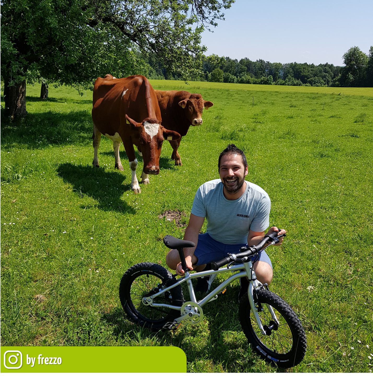 Seeker Brushed Aluminium