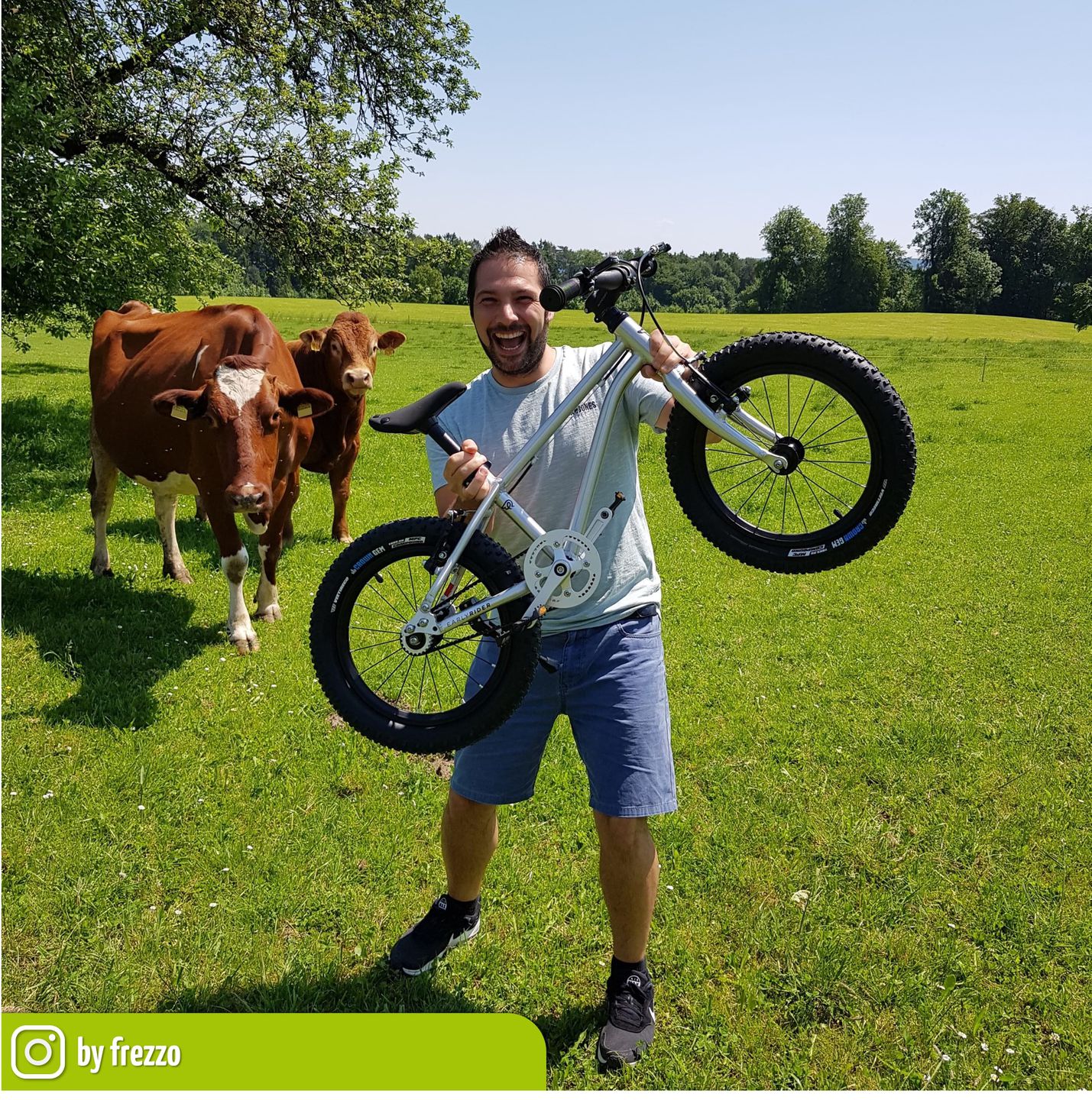 Seeker Brushed Aluminium