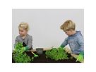 Aksent Kids Gartenwerkzeug