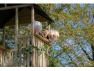 Panorama 500 Holzspielhaus mit Rutsche und Sandkasten